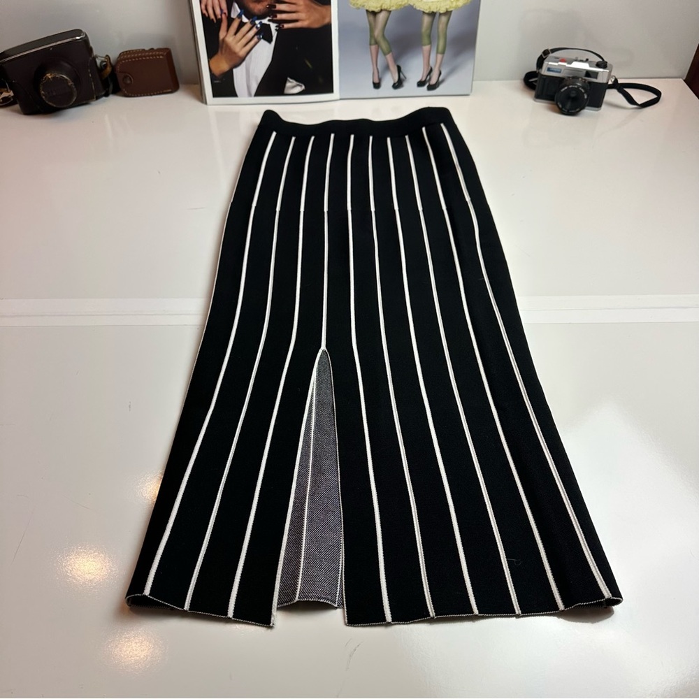 House of Harlow 1960 Striped Knit Maxi Skirt | Pleated Column · Quiet Luxury - Picture 8 of 10